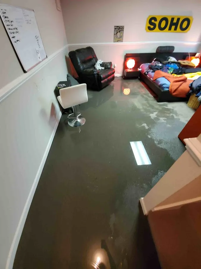 Water Damage Restoration services in New Port Richey East, FL