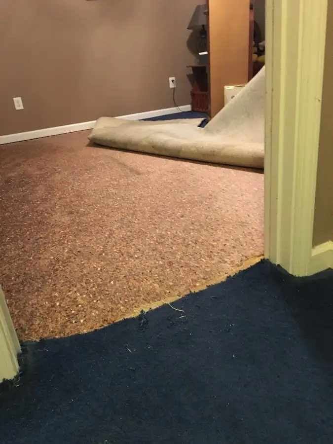 Carpet pad removal revealing water damage during Water Mitigation Services in New Port Richey East