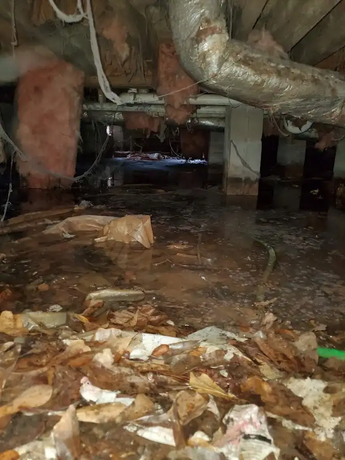 Crawl space flood assessment for Leak Detection & Repair in New Port Richey East