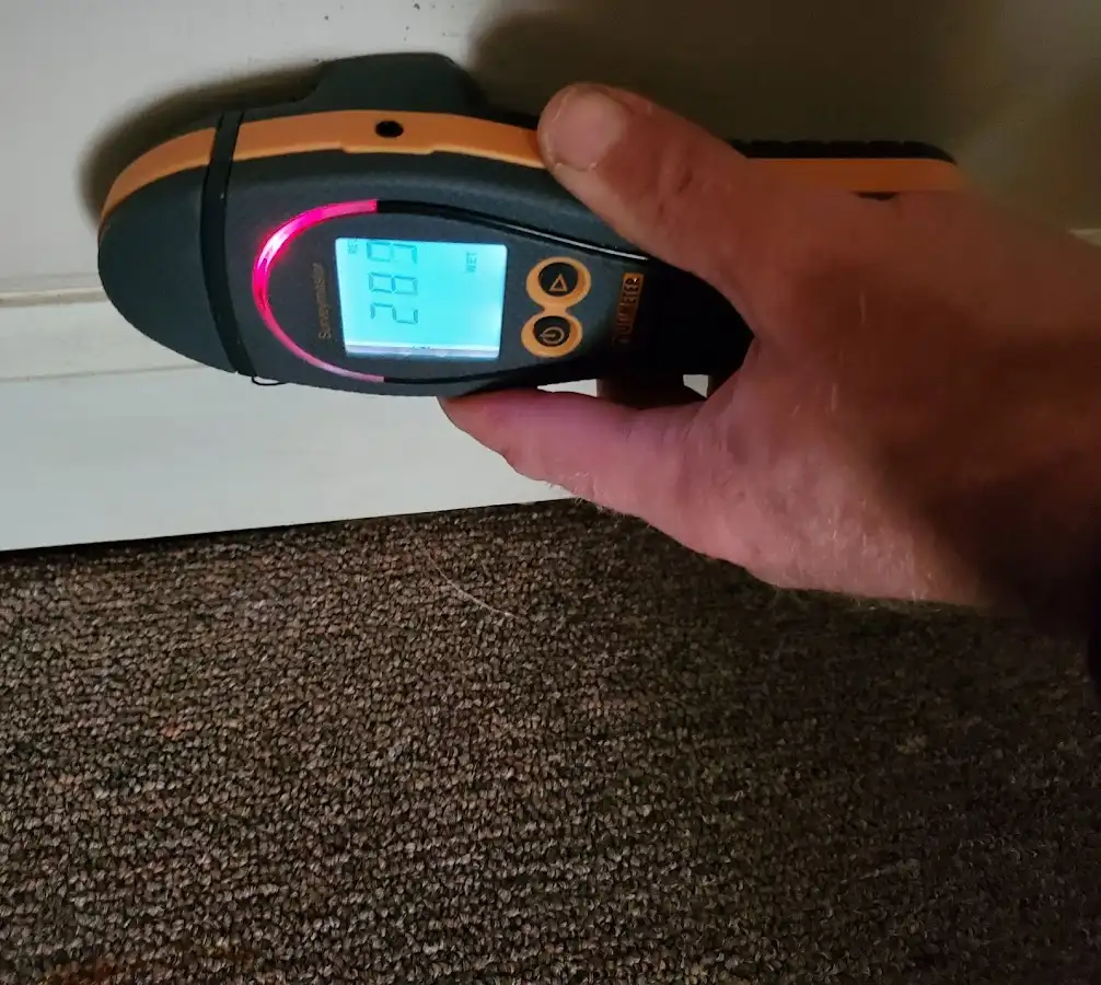Moisture detection at baseboard during Storm Damage Restoration in New Port Richey East